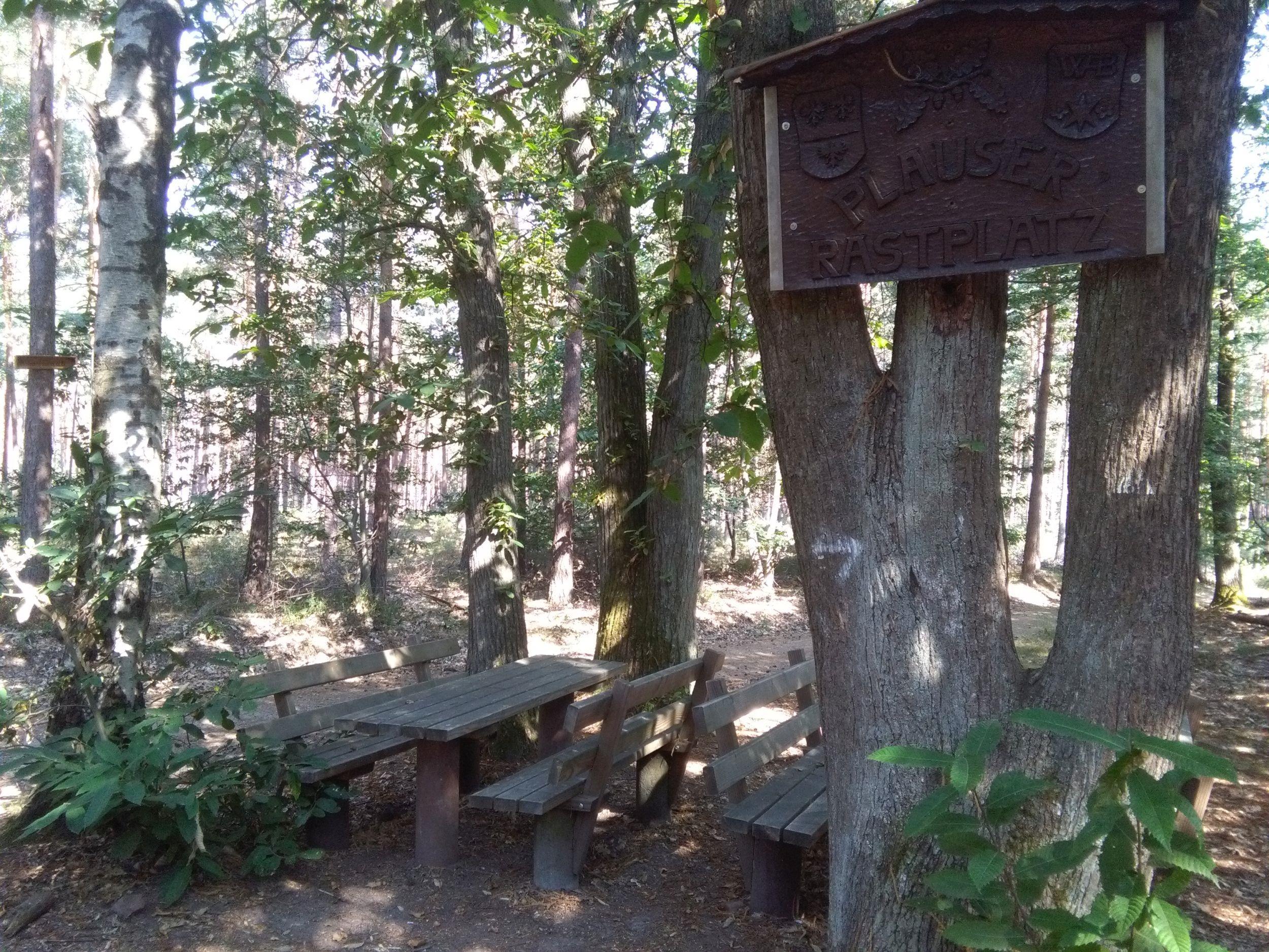 Pfälzerwald - Plauser Rastplatz | Deutsche Weinstraße