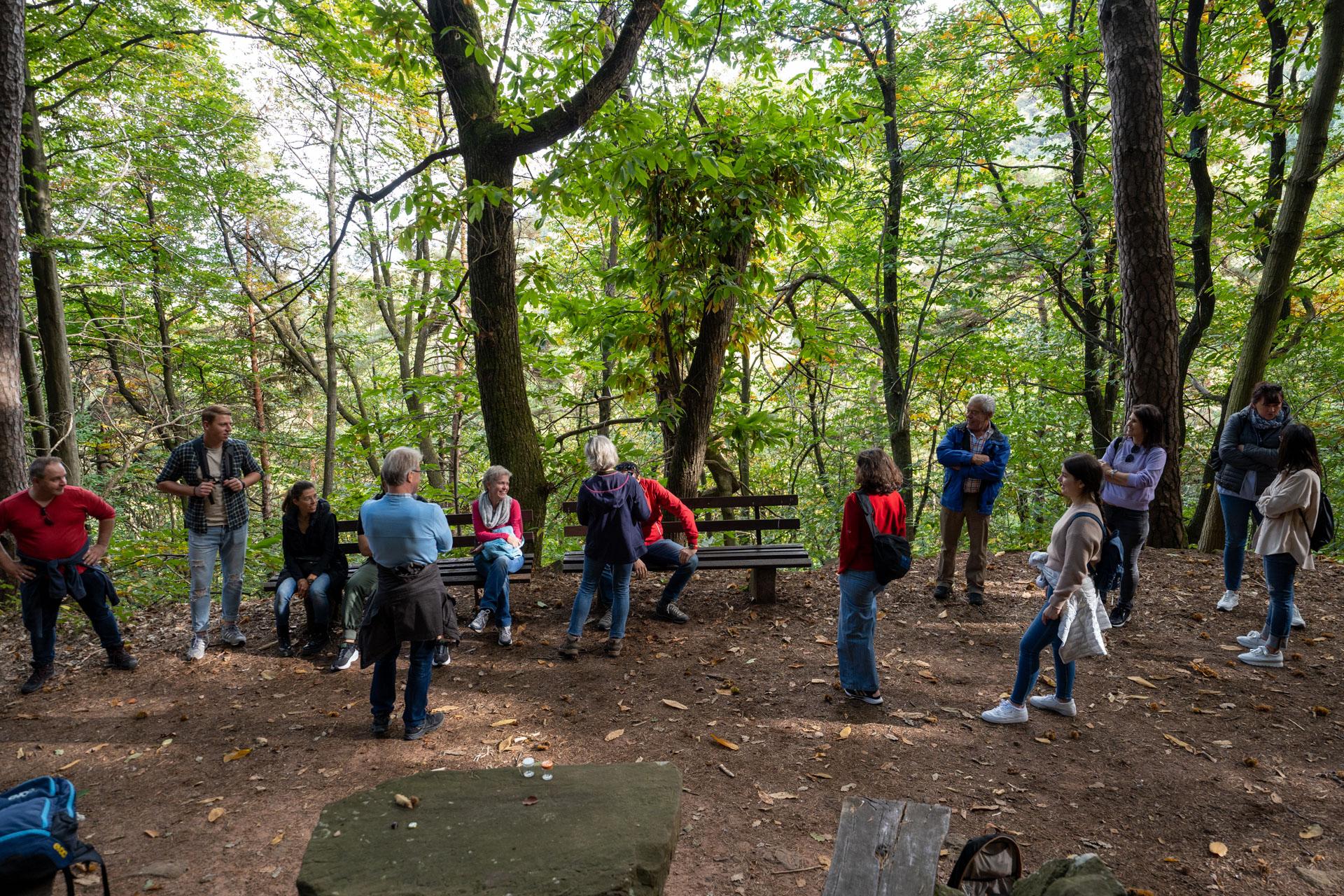 St. Martin Tours Deutsche Weinstraße