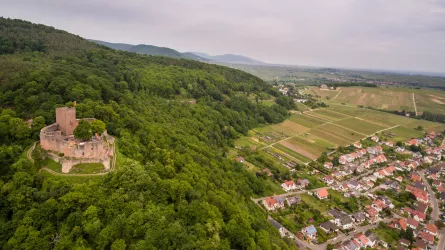 Blick auf Klingenmünster (© Tourismusverein BZA, Dominik Ketz)