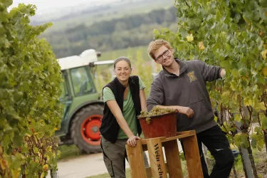 WeinWanderWochenende - Margarethenhof 1