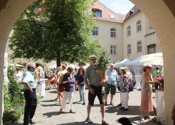 Rosenmarkt (© Archiv Tourismusverein SÜW Bad Bergzabern e.V.)