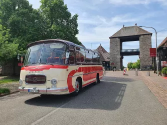 Oldtimerbus am Weintor (© Tourismusverein Bad Bergzabern)