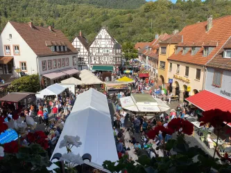 Keschdefeschd in Annweiler am Trifels (© Verein SÜW Annweiler e.V.)