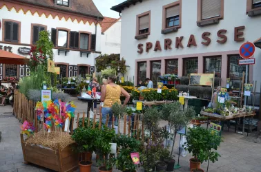 Am Marktplatz (© Büro für Tourismus Maikammer)