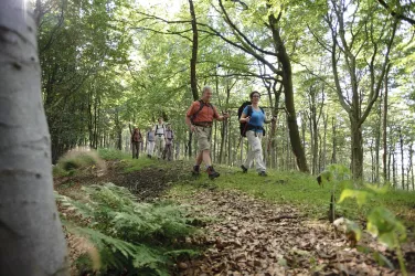 Wandern auf dem Keltenweg (© Donnersberg-Touristik-Verband e.V.)