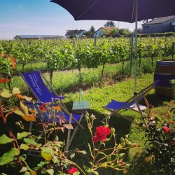 Altes Weingut Steigelmann Garten (© Altes Weingut Steigelmann)