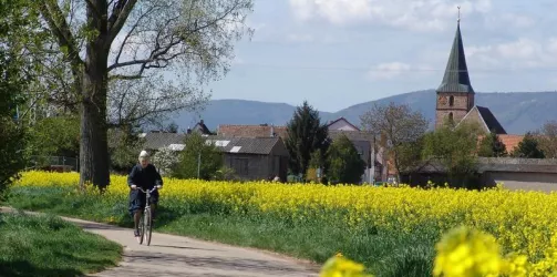 Lachener Bauern- und Winzerkerwe