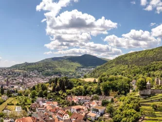 Panoramablick auf Neustadt an der Weinstraße