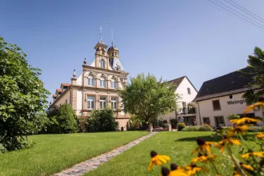 Weingut Estelmann © Timo_Volz (© Timo_Volz)