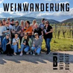 Weinwanderung im Weingut Buchert © Weingut Buchert (© Weinwanderung im Weingut Buchert  Weingut Buchert)