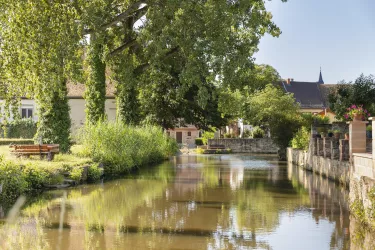 Friedelsheim 1 (© TI Wachenheim)