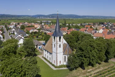 Friedelsheim (© TI Wachenheim)