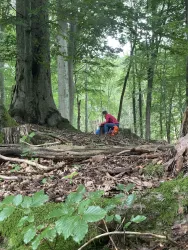 sitzend im Wald