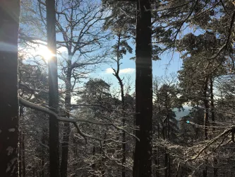 Winterwald 2 (© PFÄLZER-verFÜHRUNGEN G.Stübinger-Kohls)