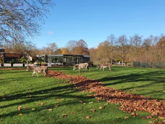 Tiergartenschule (Außenansicht) (© Tiergarten)