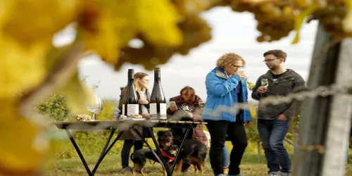 Weinwanderung Weinprobe (© melhubach photographie)