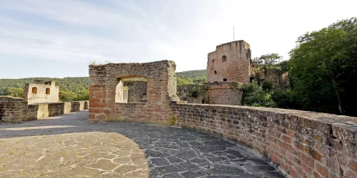 Schloss- und Festungsruine Hardenburg Nahaufnahme (© melhubach photographie)