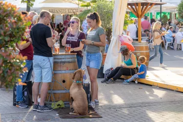 Im Weindorf versüßen beste Weine den Aufenthalt