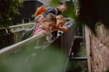 Blick in den Hainbach - was kann man entdecken?