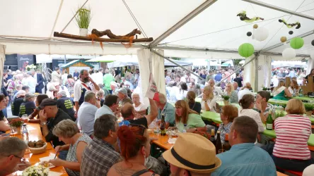 Weinfest Grünstadt