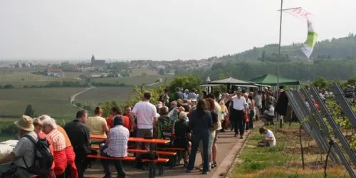 Weyher Weinpanorama (© Ortsgemeinde Weyher)