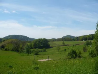 Ausblick Völkersweiler (© Verein SÜW Annweiler am Trifels e.V.)