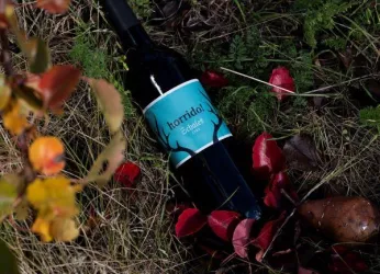 Gutsausschank - Wilder Herbst Weingut Schales (© Weingut Schales Flörsheim-Dalsheim)