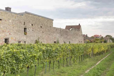 Stadtmauer