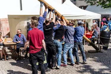 Maibaum (© Thomas Münch)