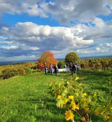 Lieblingspläztel (© St. Martin Tours)