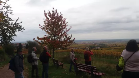 Blick in die Rheinebene