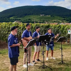 Wandern, Wein und mehr ... (© Elke Dotzler)