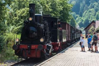 Kuckucksbähnel - Elmstein Kuckucksbahnhof