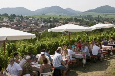 Weinfest mit einmaligem Ausblick (© R)