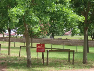 Parkplatz am Friedhof 4 (© Urlaubsregion Freinsheim, Metzger)