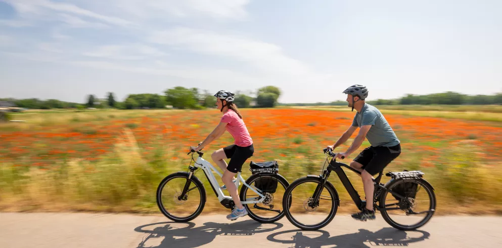 Zwei Radfahrer radeln vor blühender Mohnblumenwiese